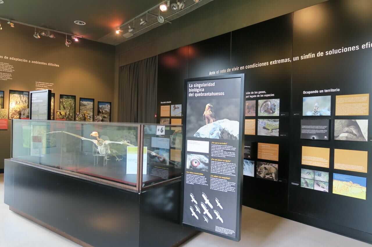 Interior Interpretation Center