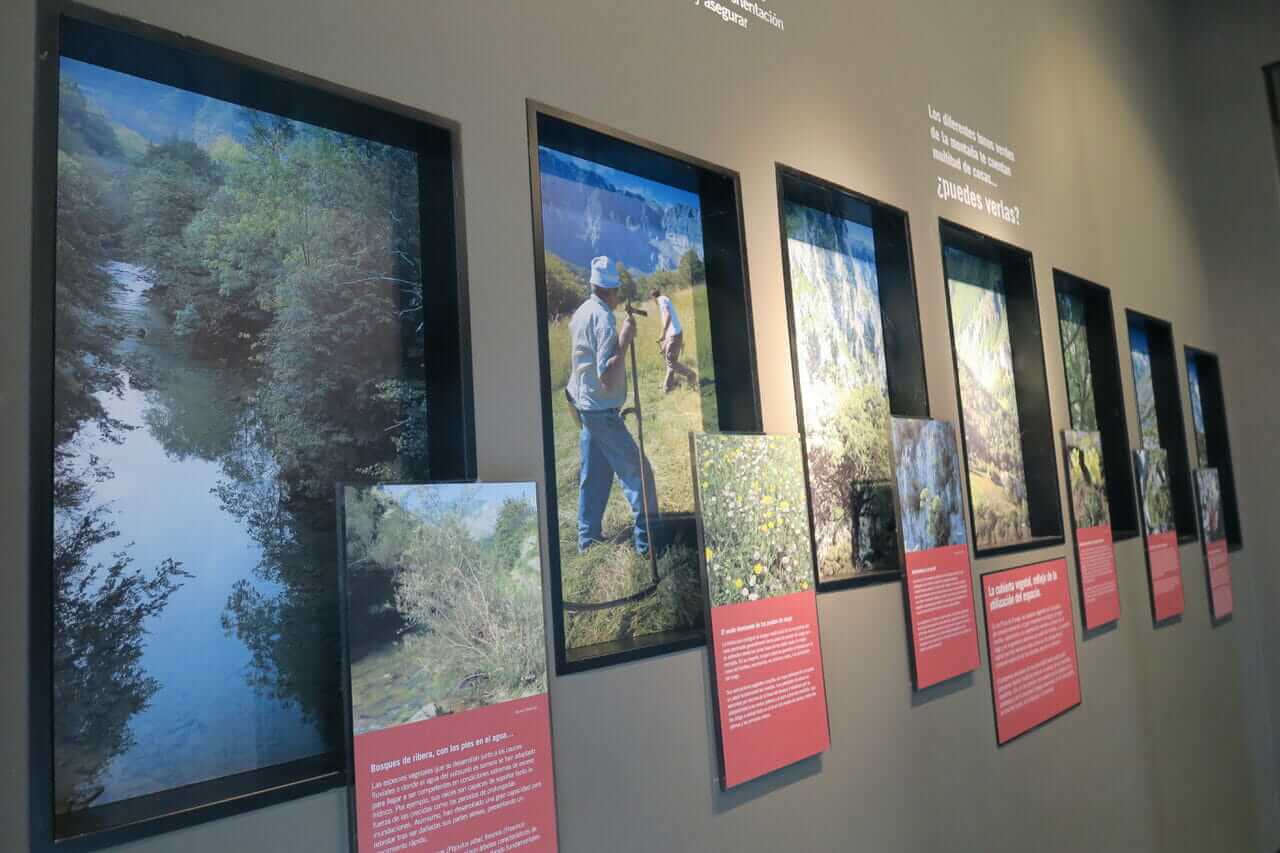 Onís Museum Panels