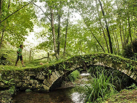 Bridge route Ermita de Castru