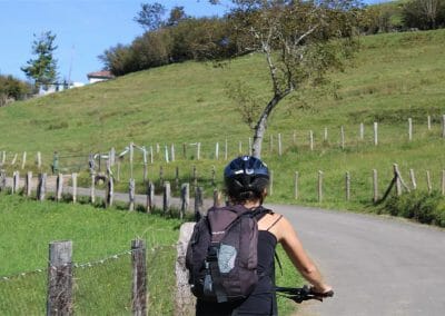 Tramo de carretera Demués - Bobia
