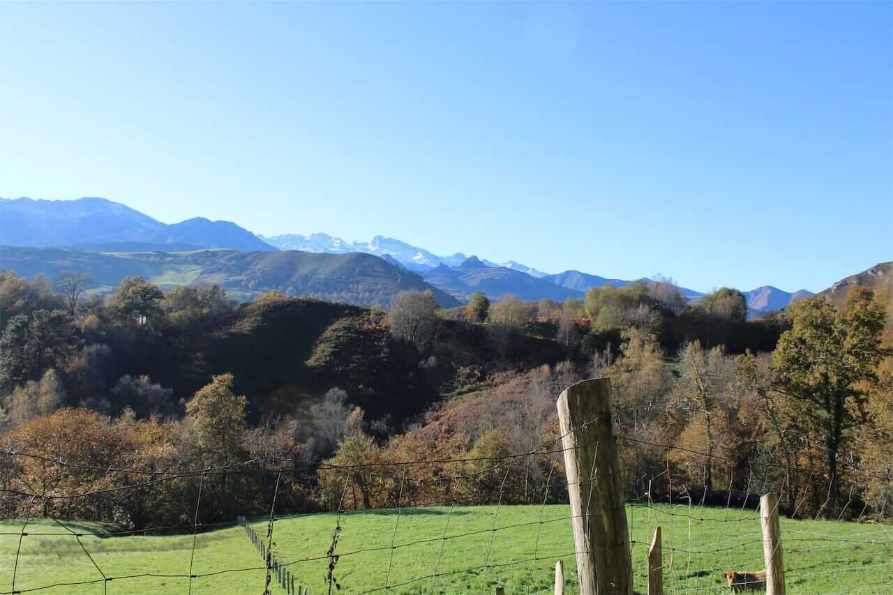 B5 Views on the road to Pedrosu