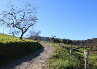 Camino a Iglesia Santa Eulalia de Abamia (Corao)