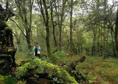 Haciendo fotos en el bosque