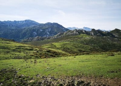 Collado de los Buitres