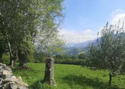 Valle la Molina
