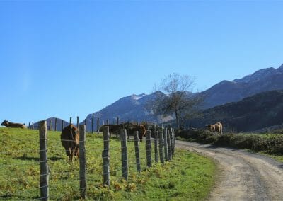 B4 La Llomba