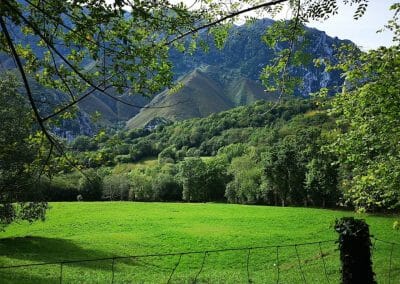 Valle Rio Casaño
