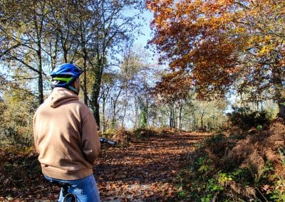 B11 Tramo de Bosque en Otoño