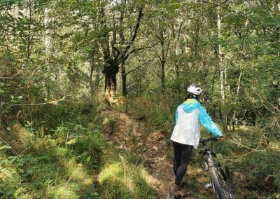 Primera parte del bosque, entrando desde Siempreverde