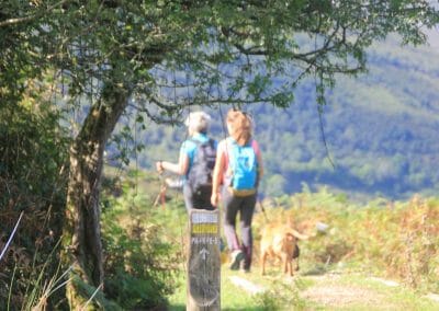 Gran Trail Picos de Europa (para montañeros)