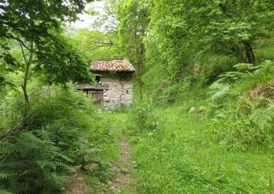 Gran Trail Picos de Europa (para montañeros)