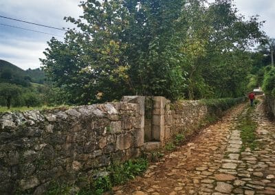 camino empedrado