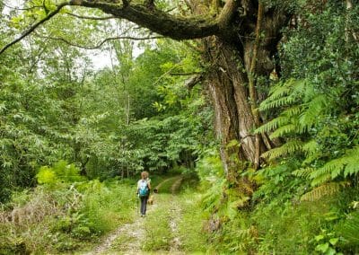 Castro Hermitage Route