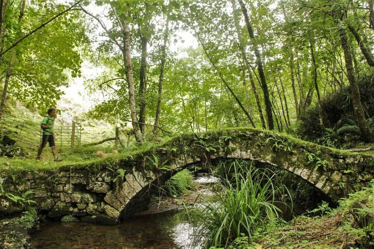 Copie de l'image de l'itinéraire principal S2 portada
