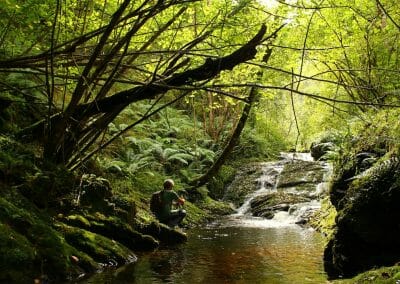 cascada río Tabardín