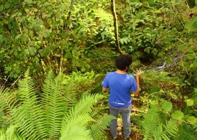 ruta molinos río Tabardín