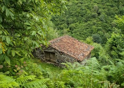 cabaña