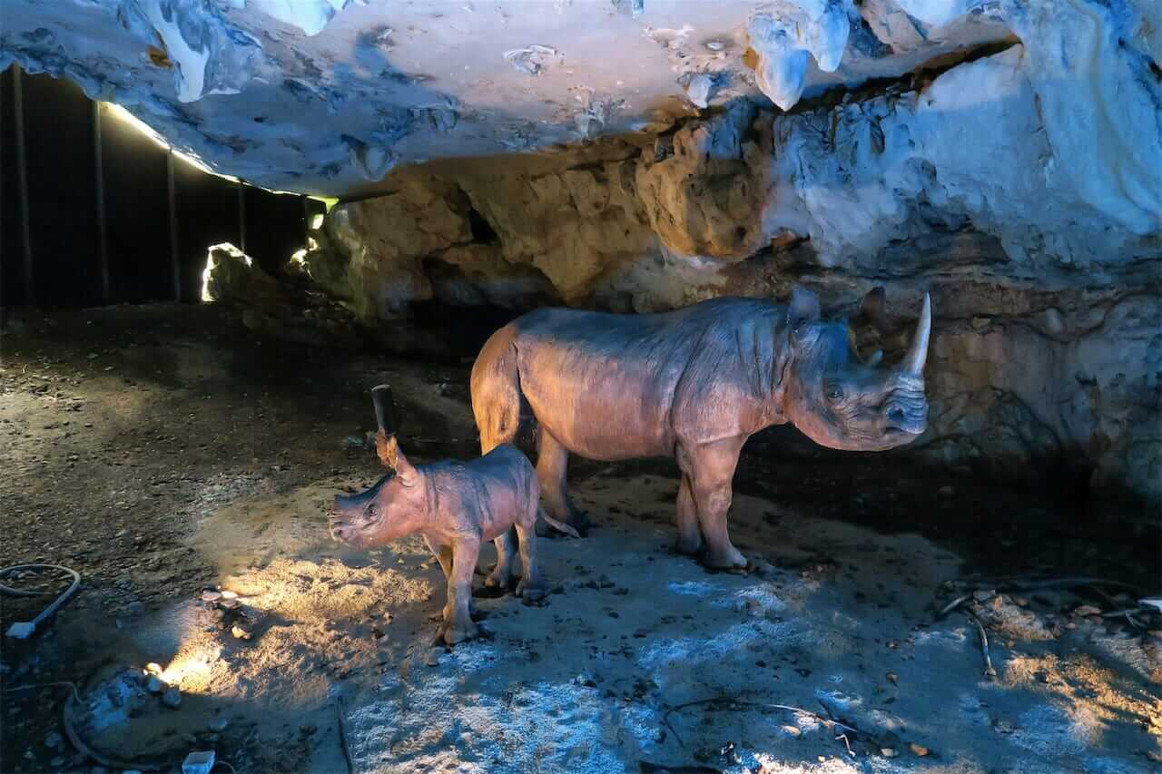 Glacial Fauna Interpretation Center