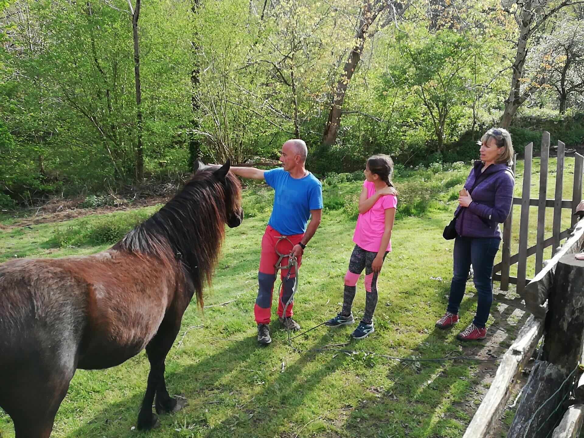 Granja Oveja Feliz Burro