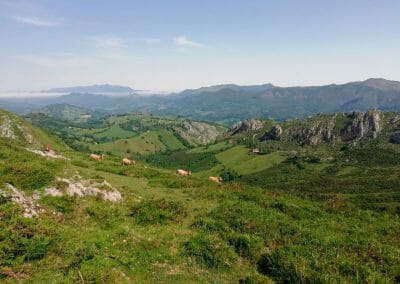 S11 paisaje