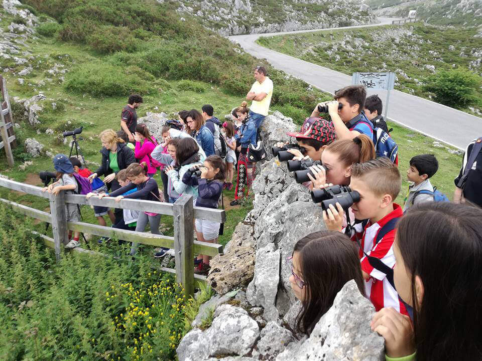 Children observing bearded vultures