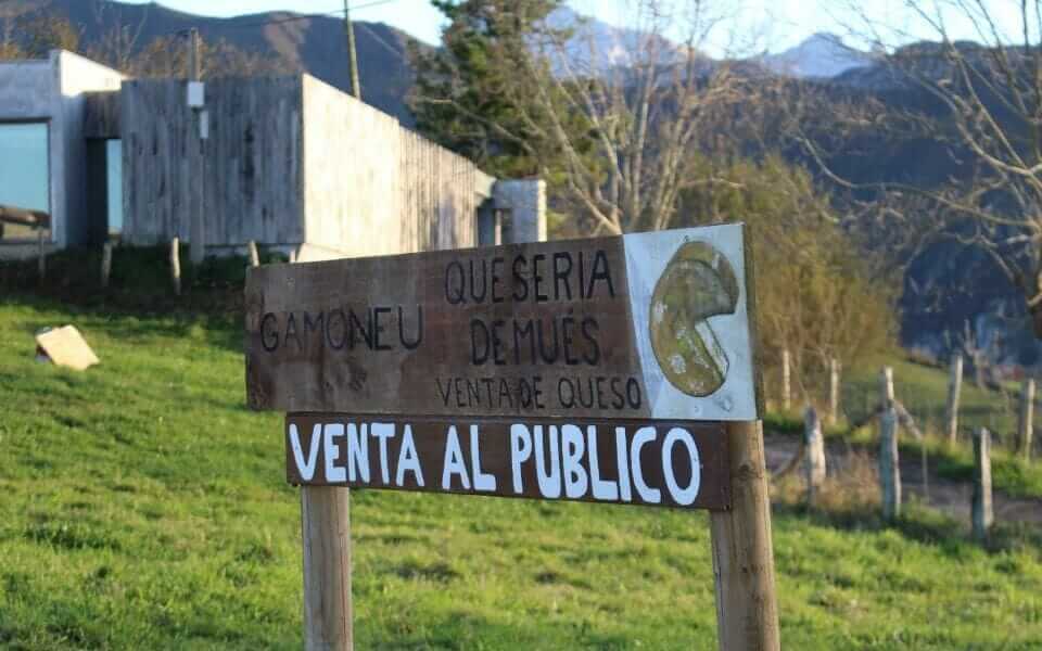 Bearded Vulture Center