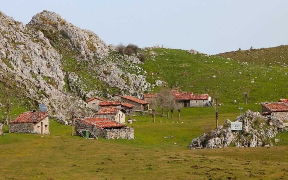 Gamonéu del Puerto Cheese