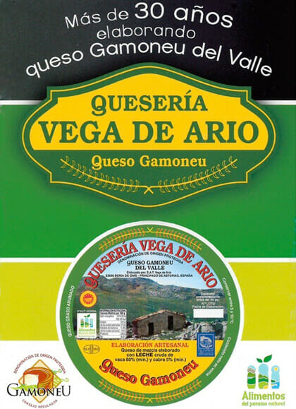 Vega de Ario Onís Cheese Factory