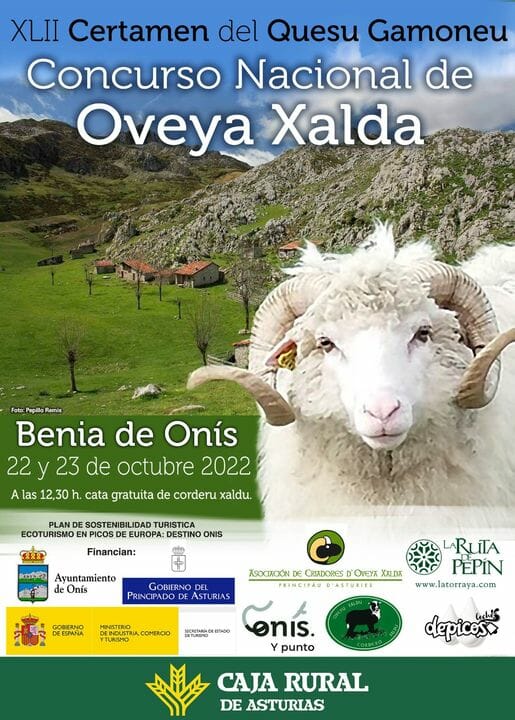 Cartel concurso oveya xalda 2022