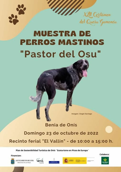Cartel muestra perros mastinos onis 2022