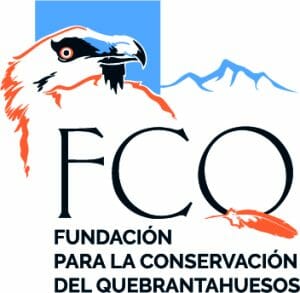 Logo FCQ