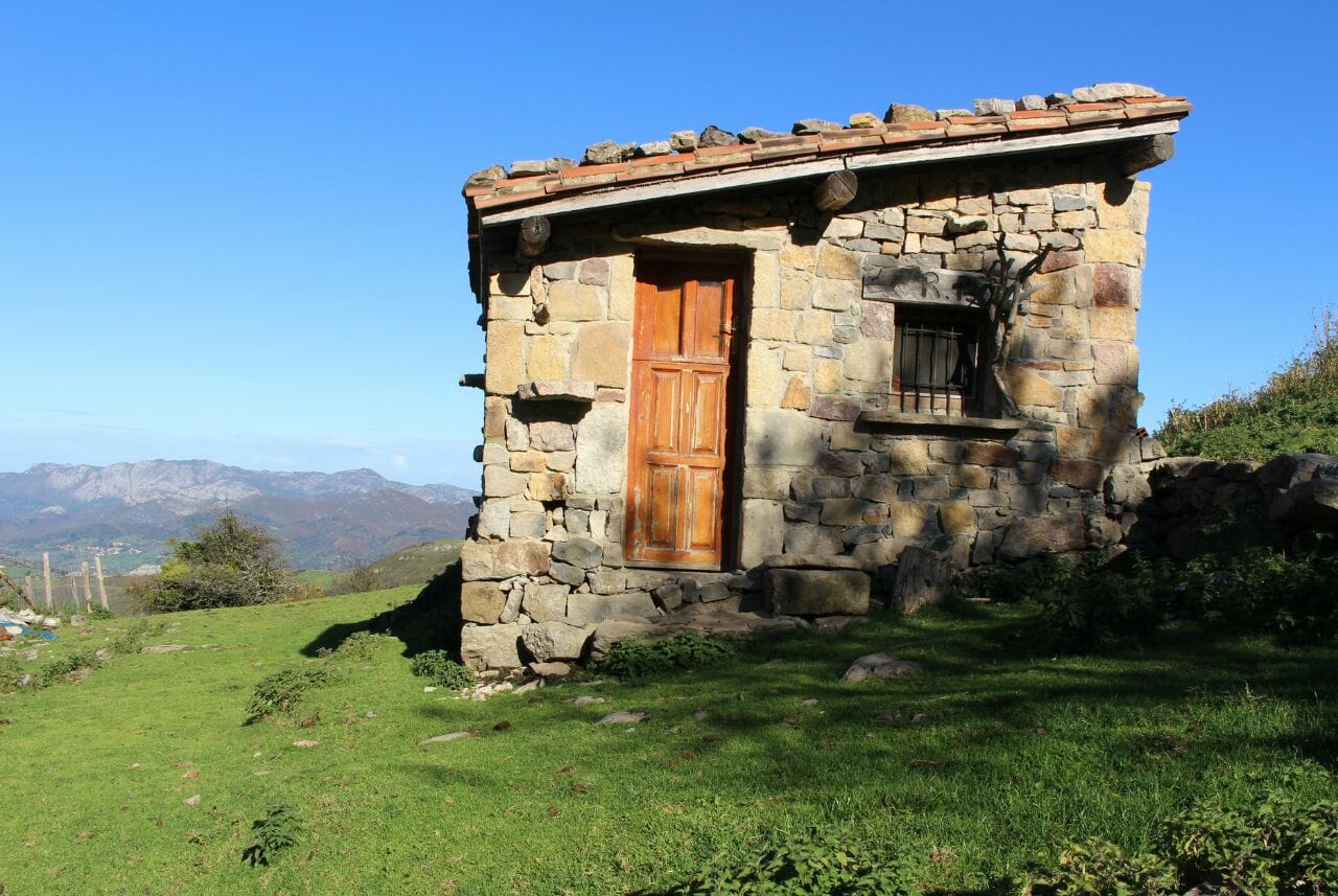 Bearded Vulture Center