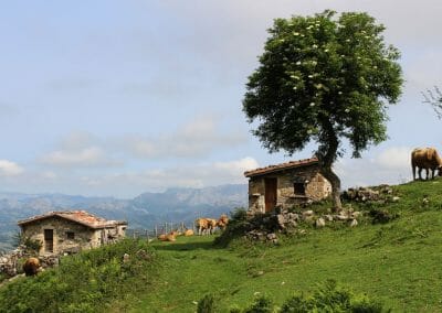 Cabana del Fresnu Onis