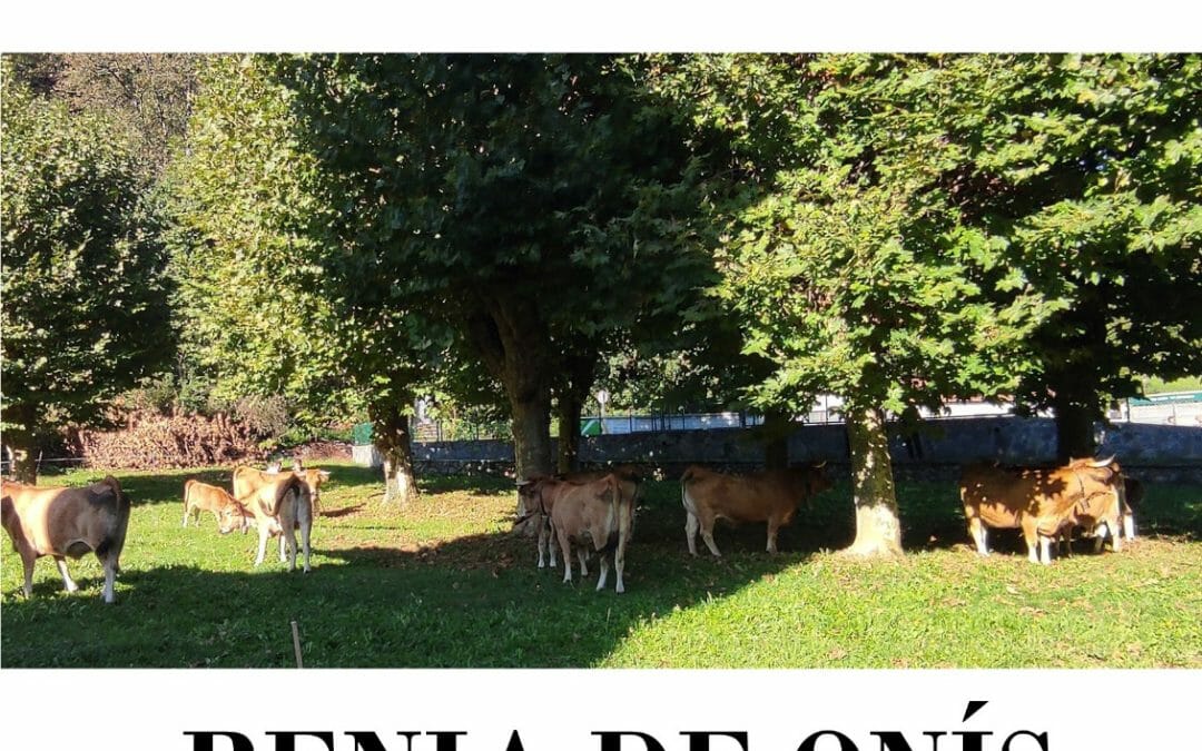Feria de San Mateo 2023