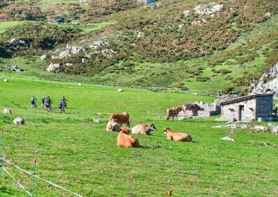 Ruta lagos covadonga en bici desde Benia 4