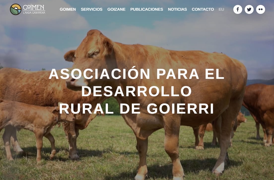 pantallazo web Goimen