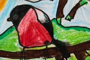 aves dibujo