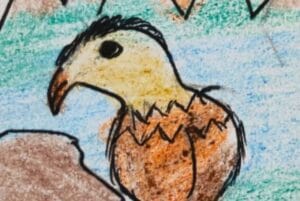 quebrantahuesos dibujo