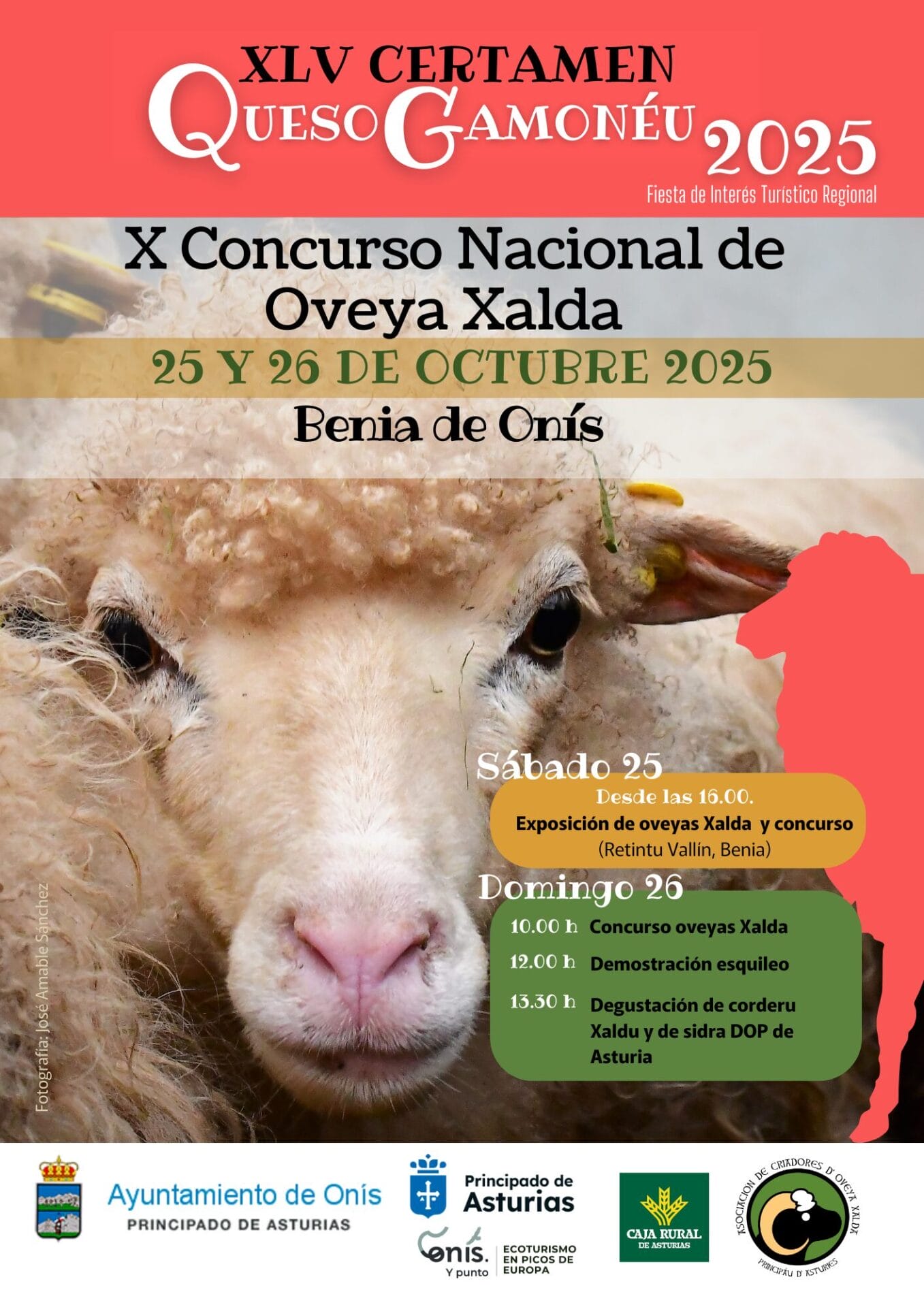 Cartel Certamen Oveya Xalda 2025 1