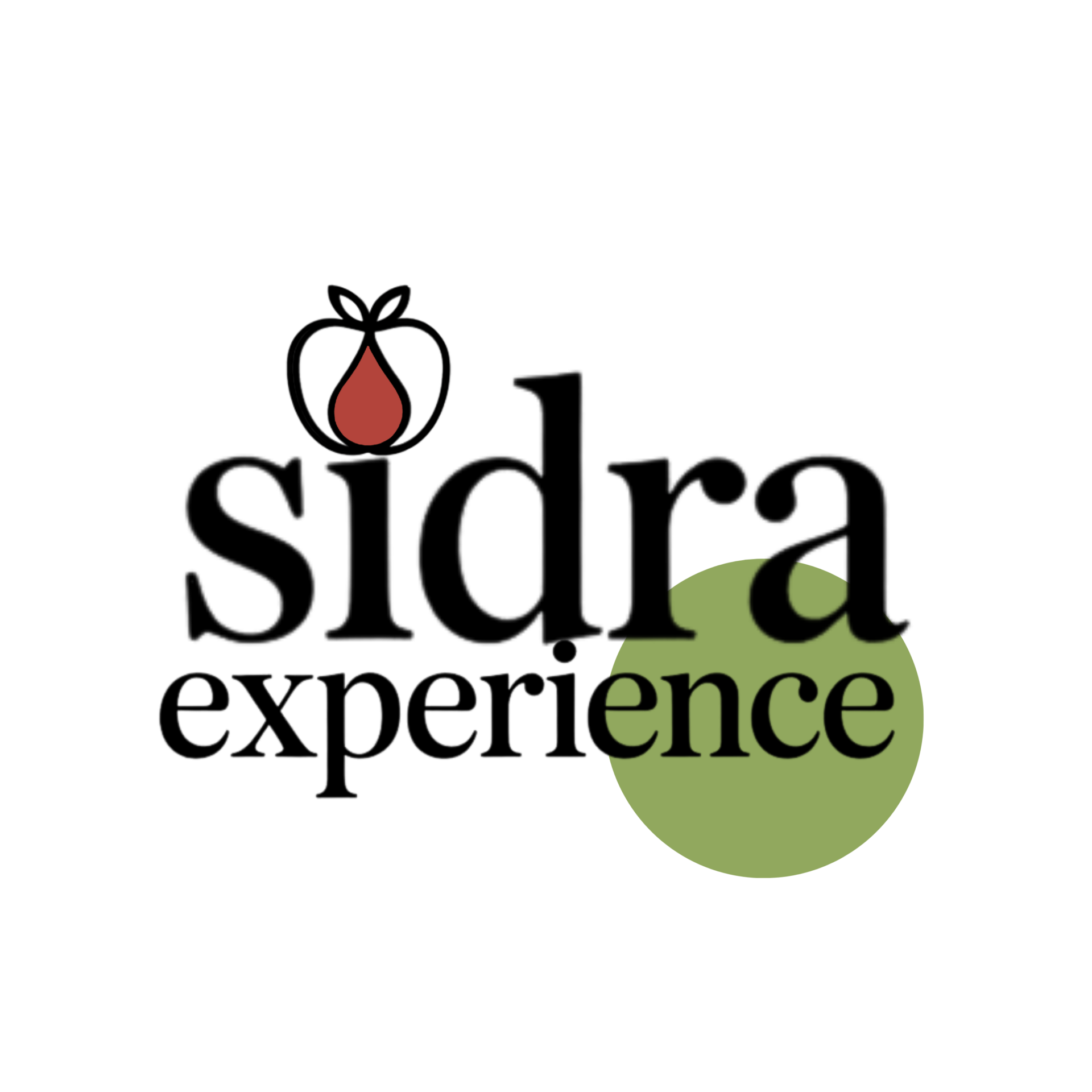 Logo Sidra Experience color