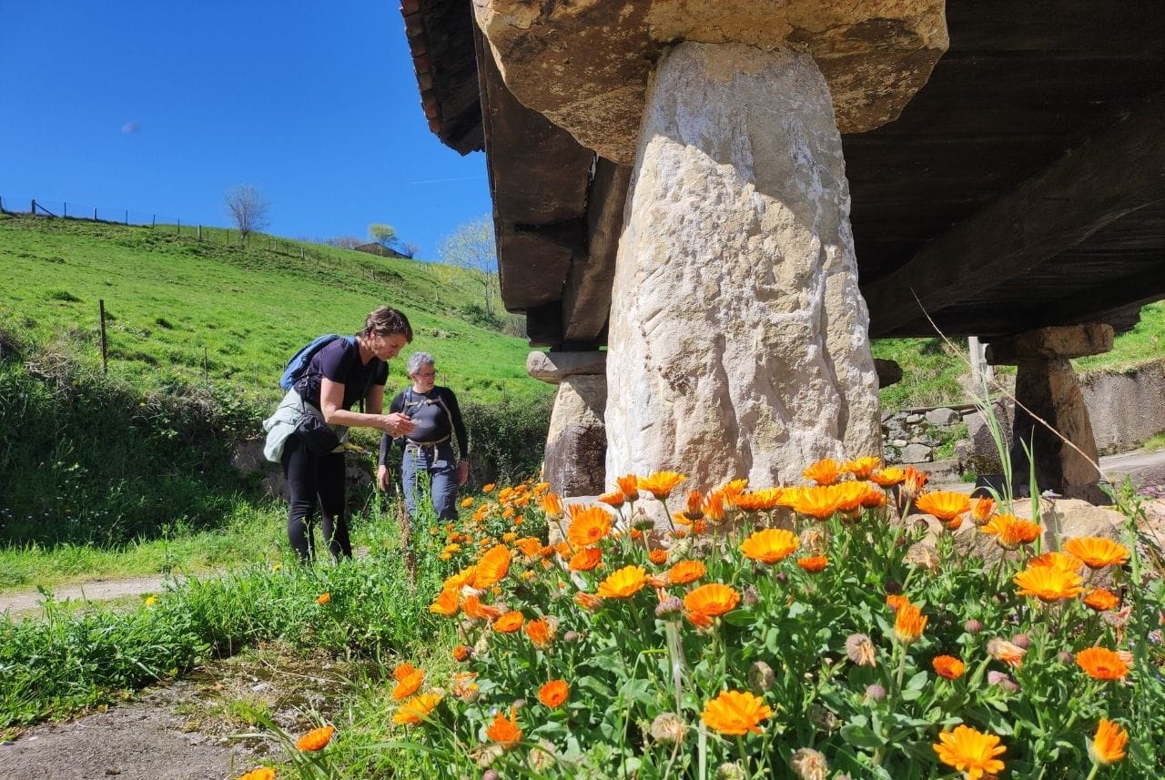 Entorno Cueva Quiliama