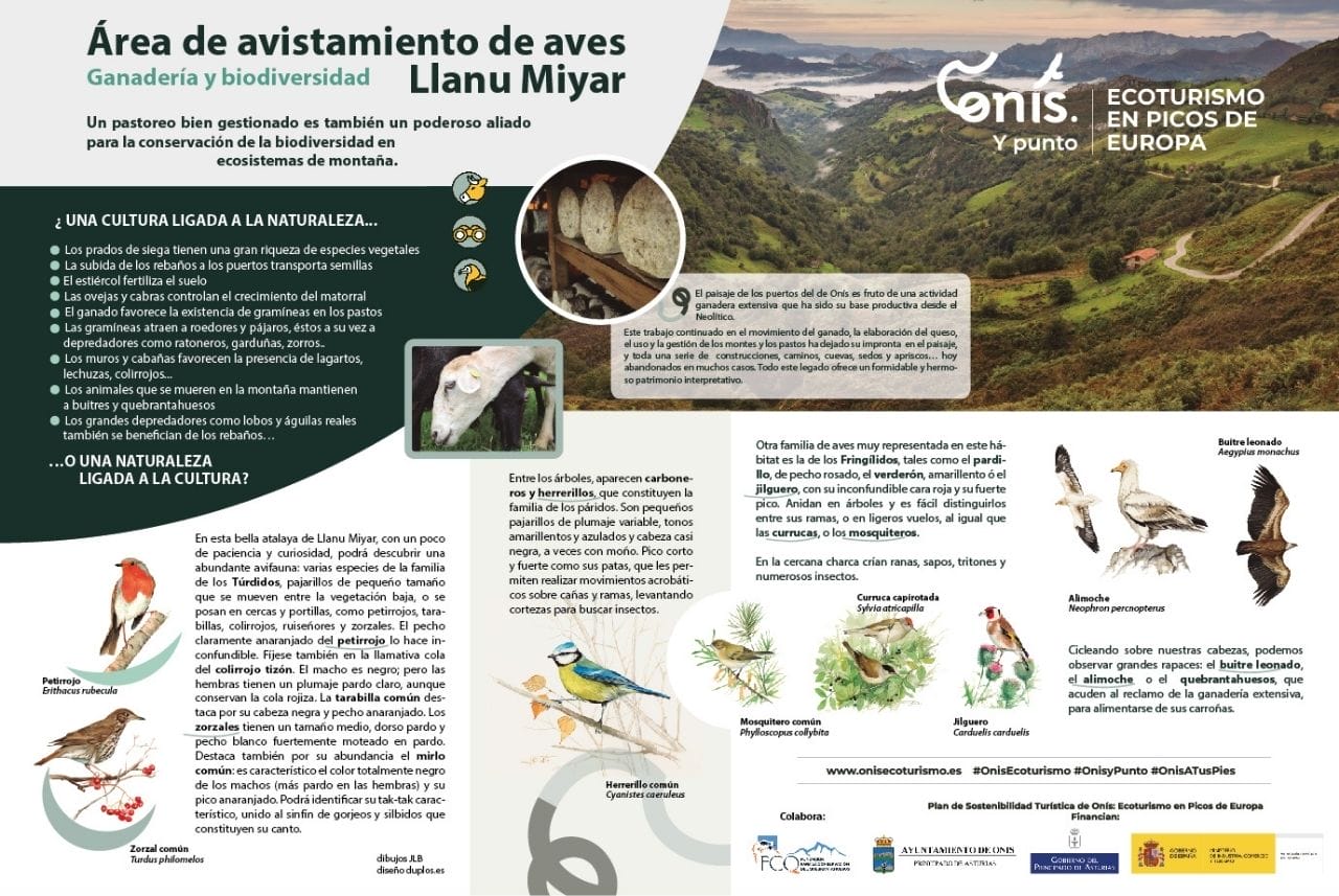 Entorno Cueva Quiliama